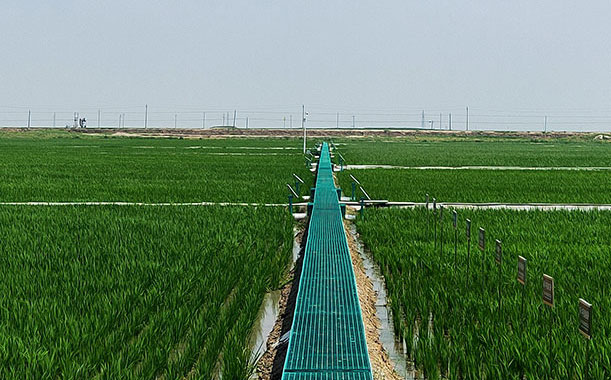 淄博全自動駕駛式洗地機應用場所